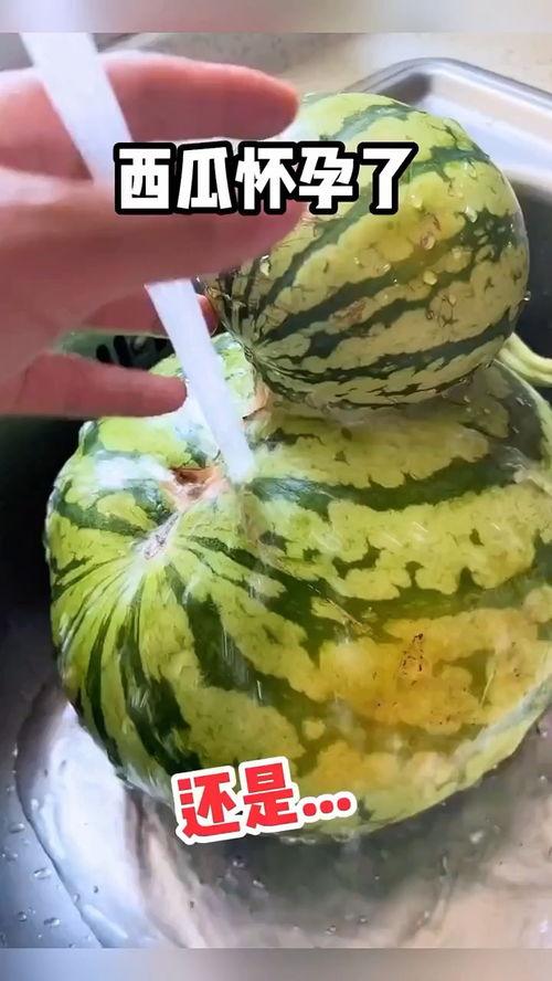 娱乐吃瓜配音视频大全